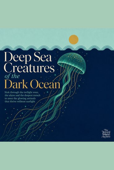 Deep Sea Creatures of the Dark Ocean - Sink Through the Twilight Zone the Abyss and the Deepest Trench to Meet the Glowing Animals That Thrive Without Sunlight - cover