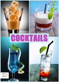 Cocktails - Klassiker und neue Rezepte Die coolsten und besten Drinks Partydrinks Aperitifs und Digestifs Damit mischen Sie jede Party auf!