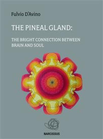 The pineal gland - cover