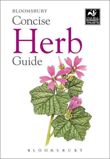 Concise Herb Guide - cover