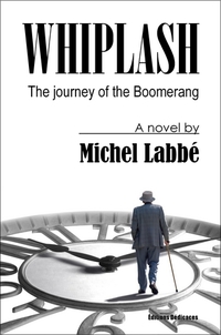 WHIPLASH - The journey of the Boomerang