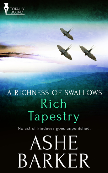 Rich Tapestry - cover