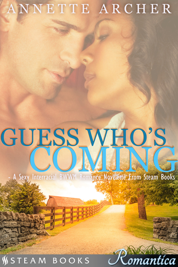 Guess Who's Coming - A Sexy Interracial BWWM Romance Novelette From Steam Books - cover