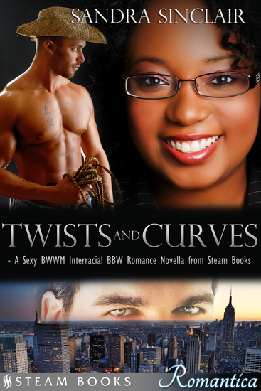 Twists and Curves - A Sexy BWWM Interracial BBW Romance Novella from Steam Books - cover