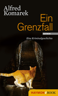 Ein Grenzfall - Eine Kriminalgeschichte