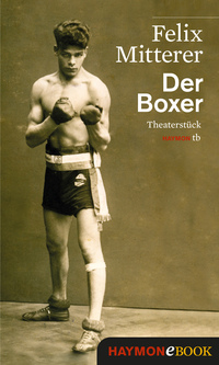 Der Boxer - Theaterstück