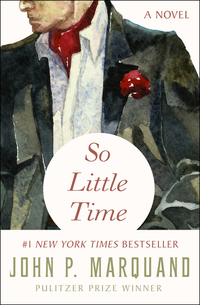So Little Time - A Novel