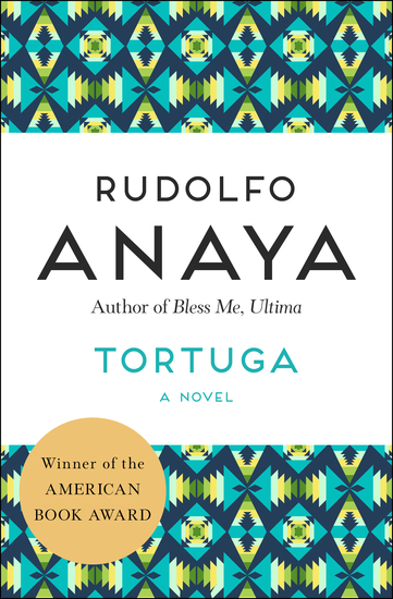 Tortuga - A Novel - cover