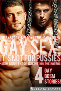 Gay Sex: It's Not For Pussies - A Kinky Bundle of 4 Sexy Gay BDSM Short Stories from Steam Books