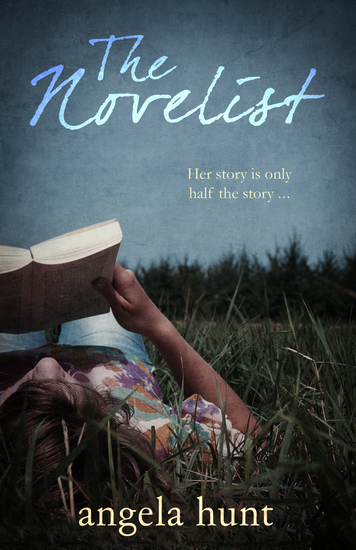 The Novelist - cover