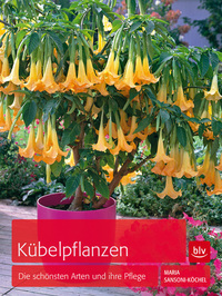 Kübelpflanzen - Die schönsten Arten und ihre Pflege