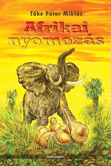 Afrikai nyomozás - cover