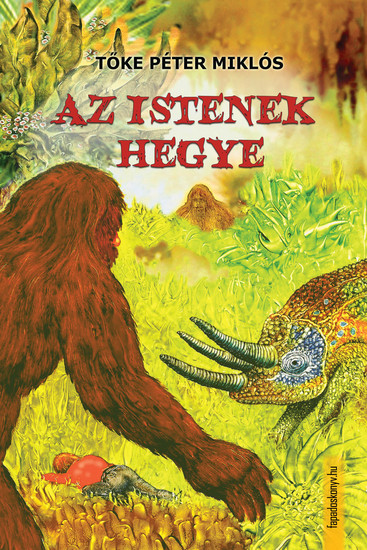Az istenek hegye - cover