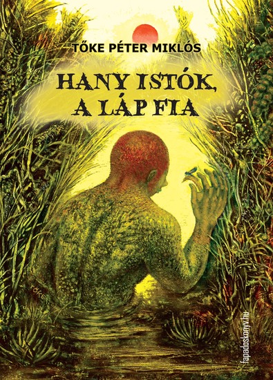 Hany Istók a láp fia - cover