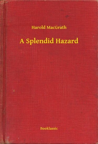 A Splendid Hazard - cover