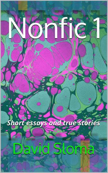 Nonfic 1- Short essays and true stories - cover