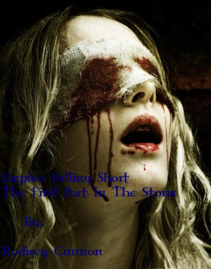 The First Port In The Storm - Empires Falling Short Stories #3 - cover
