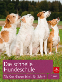 Die schnelle Hundeschule - Alle Grundlagen Schritt für Schritt